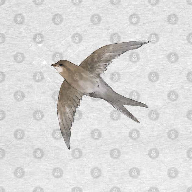 Common Swift in the air by Bwiselizzy